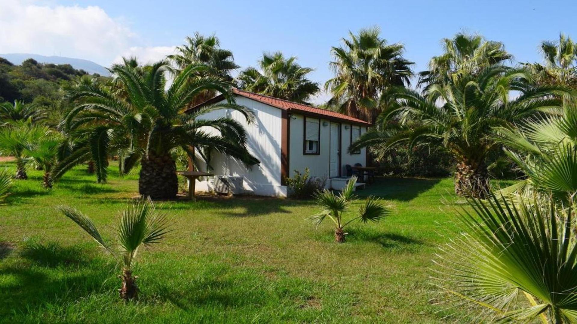 La Palma Beachfront Suites Georgioupoli Dış mekan fotoğraf